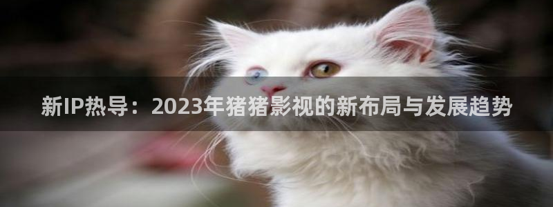 神马影院伦理大全：新IP热导：2023年猪猪影视的新布局与发展趋势