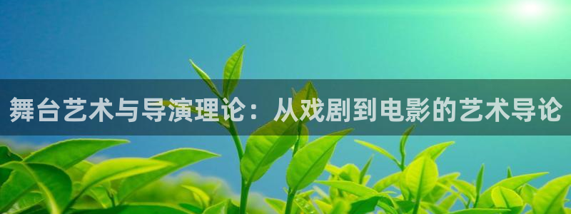 神马影院我不卡52：舞台艺术与导演理论：从戏剧到电影的艺术导论